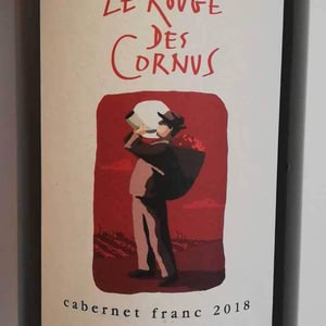 Domaine de la Garreliére - Pascale & François Plouzeau - Le Chenin De La Colline