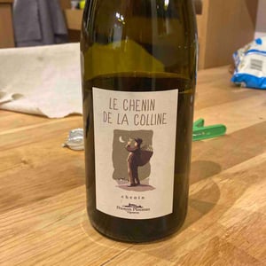 Domaine de la Garreliére - Pascale & François Plouzeau - Le Chenin De La Colline