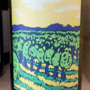 Le chenin - Desrousseaux - france-et-baptiste-desrousseaux -2022