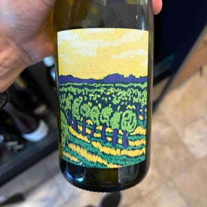 Le Chenin - Domaine Breton - Catherine & Pierre Breton 