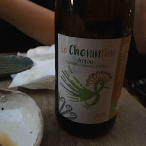 Le Chenin Pan - Domaine du Clos Fremur - Anthony Robin 