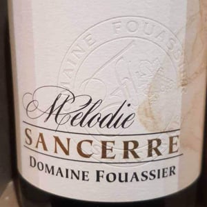 Le Clos De Bannon - Domaine Fouassier - benoit-paul-fouassier