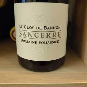Le Clos De Bannon - Domaine Fouassier - benoit-paul-fouassier