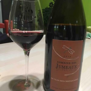 Le Clos des Châtaigners - Domaine des Jumeaux - maryline-jean-marc-tard