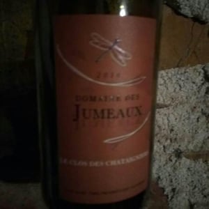 Le Clos des Châtaigners - Domaine des Jumeaux - maryline-jean-marc-tard