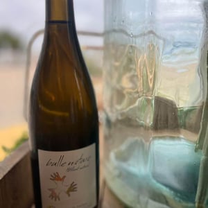 Le Clos des Châtaigners - Domaine des Jumeaux - maryline-jean-marc-tard