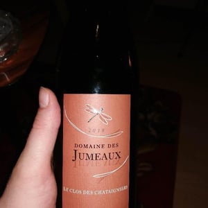 Le Clos des Châtaigners - Domaine des Jumeaux - maryline-jean-marc-tard