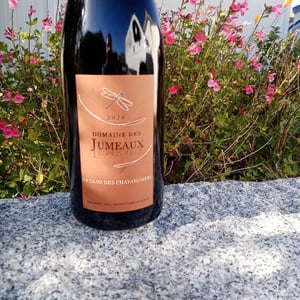 Domaine des Jumeaux - Maryline & Jean-Marc Tard - Le Clos des Châtaigners