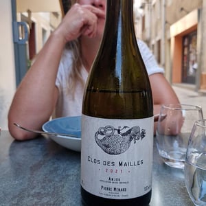 Le Clos des Mailles - Domaine Pierre Ménard - pierre-menard