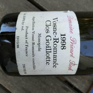 Le Clos Goillotte - Domaine Prieuré Roch - henry-frederic-roch-yannick-champ