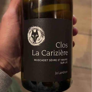 Le Clos la Carizière - Domaine Jo Landron - jo-landron