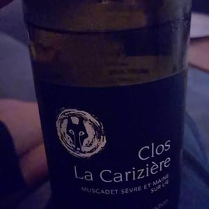 Le Clos la Carizière - Domaine Jo Landron - jo-landron