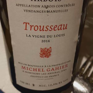 Michel Gahier - Michel Gahier - Le Clousot