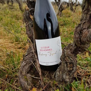 Le Coeur des Hommes - Domaine Rostaing-Tayard - Emmanuel Rostaing-Tayard 