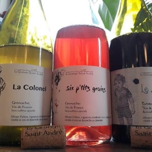 Le Colonel - La Grange Saint André - olivier-pichon