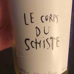 Le Corps Du Schiste - Simon Rouillard - Simon Rouillard 