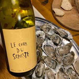 Le Corps Du Schiste - Simon Rouillard - Simon Rouillard 