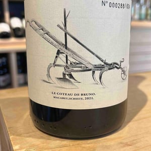 Le Coteau de Bruno - Clos du Rouge Gorge - Cyril Fhal -2021
