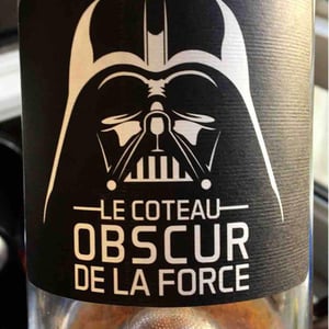 Le Coteau Obscur De La Force - Philippe Chevarin - Philippe Chevarin 