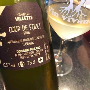 Domaine Piccard - Jean-Christophe Piccard - Le Coup de Fouet