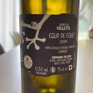 Le Coup de Fouet - Domaine Piccard - jean-christophe-piccard