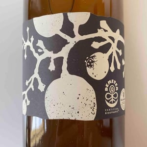 Domaine Piccard - Jean-Christophe Piccard - Le Coup de Fouet