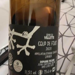 Le Coup de Fouet - Domaine Piccard - jean-christophe-piccard