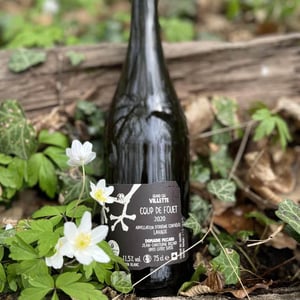 Le Coup de Fouet - Domaine Piccard - jean-christophe-piccard
