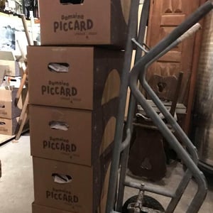Le Coup de Fouet - Domaine Piccard - jean-christophe-piccard