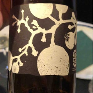 Domaine Piccard - Jean-Christophe Piccard - Le Coup de Fouet