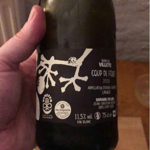 Le Coup de Fouet - Domaine Piccard - jean-christophe-piccard