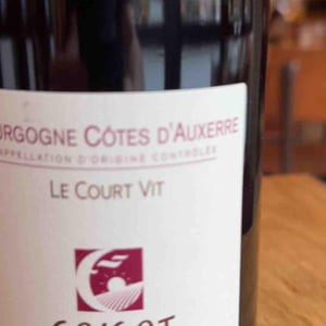 Le Court Vit - Domaine Goisot - Guilhem & Jean-Hugues Goisot 