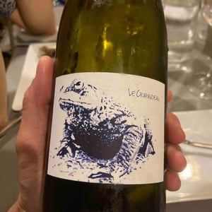 Le Crapaudeau - Domaine Passe Pont - David Landron 