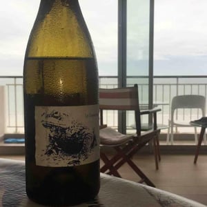 Le Crapaudeau - Domaine Passe Pont - David Landron 