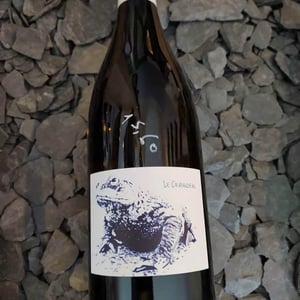 Le Crapaudeau - Domaine Passe Pont - david-landron