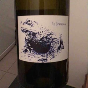 Le Crapaudeau - Domaine Passe Pont - David Landron 