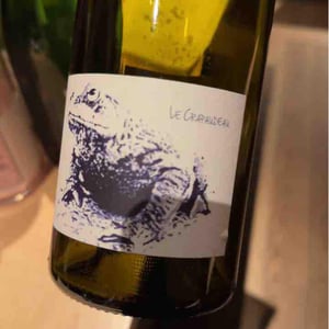 Le Crapaudeau - Domaine Passe Pont - David Landron 