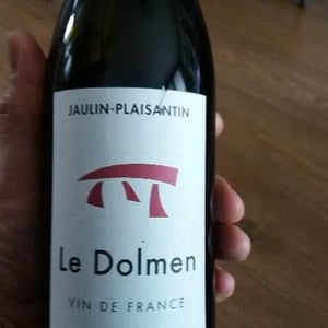 Domaine Jaulin-Plaisantin - Sébastien Jaulin & Yves Plaisantin - Le Dolmen