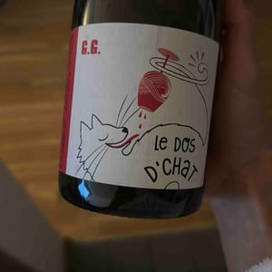 Domaine de Saint Pierre - Fabrice Dodane - Le Dos D’Chat Rouge