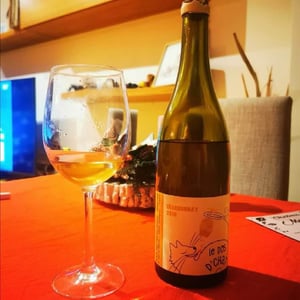 Domaine de Saint Pierre - Fabrice Dodane - Le Dos D’Chat Rouge