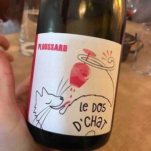 Domaine de Saint Pierre - Fabrice Dodane - Le Dos D’Chat Rouge