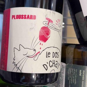 Domaine de Saint Pierre - Fabrice Dodane - Le Dos D’Chat Rouge