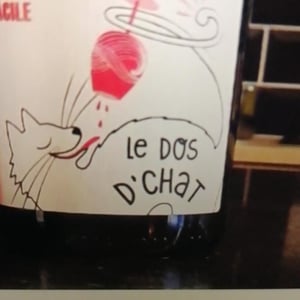 Domaine de Saint Pierre - Fabrice Dodane - Le Dos D’Chat Rouge