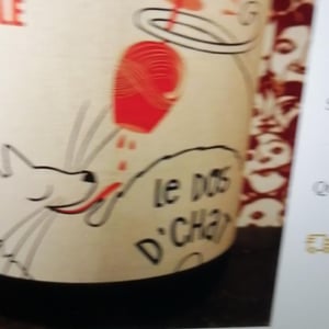 Domaine de Saint Pierre - Fabrice Dodane - Le Dos D’Chat Rouge