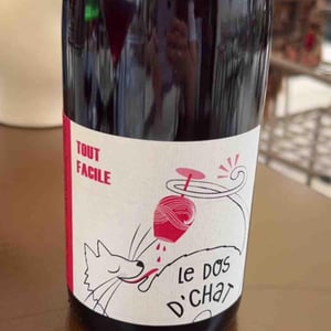 Domaine de Saint Pierre - Fabrice Dodane - Le Dos D’Chat Rouge