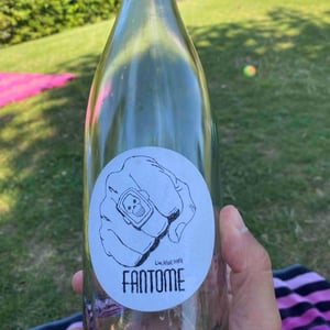 Le Fantome - Raisin Sauvage - emilien-revers