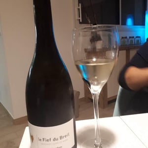Le Fief du Breil 2014