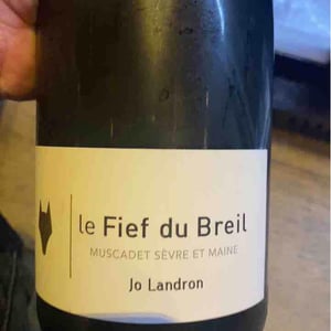 Le Fief du Breil - Domaine Jo Landron - Jo Landron 