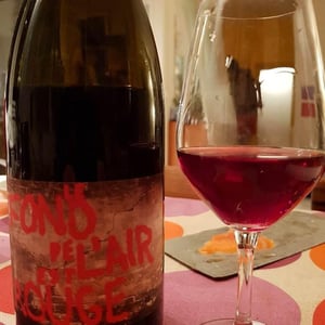 Les Foulards Rouges - Jean-Francois Nicq - Le Fond De L'air Est Rouge