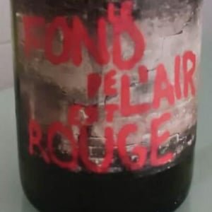 Les Foulards Rouges - Jean-Francois Nicq - Le Fond De L'air Est Rouge